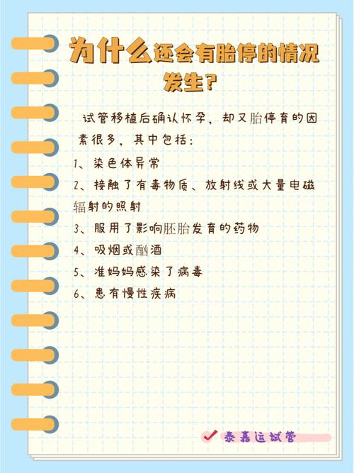 巴黎宝贝试管代怀_巴黎宝贝:试管代怀,为您带来生育的希望”
