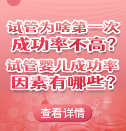 爱心试管代怀网【爱心试管代怀网:繁育之爱,温暖之家】