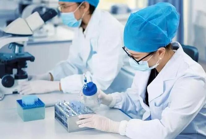 包成功代生男孩多少费用-成功代生男孩费用查询