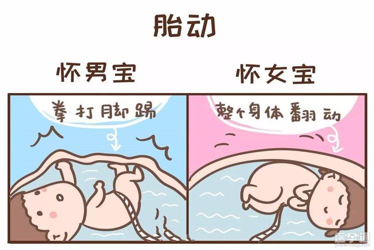 包生男孩安全吗_包生男孩安全吗?关注包生男孩的安全问题